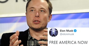 Elon Musk and "free America now" tweet