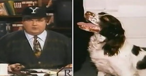 Rush Limbaugh on his TV show in the 1990s comparing Chelsea Clinton to a dog
