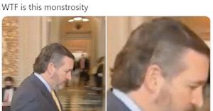 Tweet mocking photo of Senator Ted Cruz's new haircut