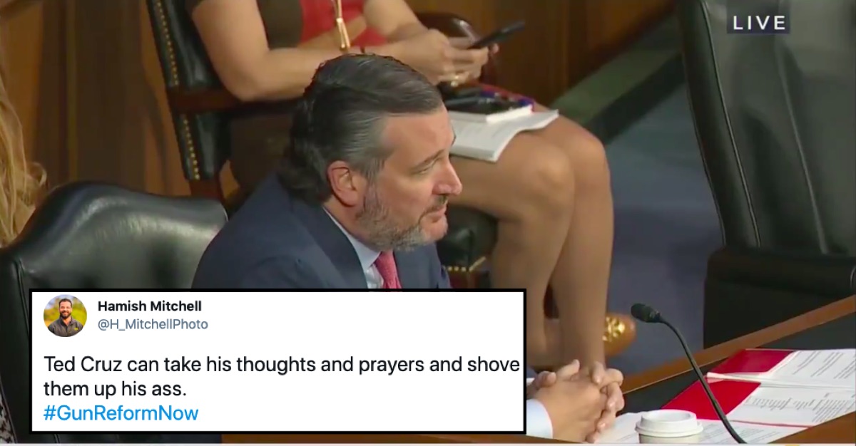 ted cruz thoughts and prayers