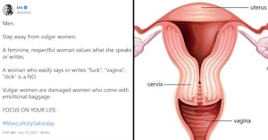 Man's tweet calling women "vulgar" for using words like "vagina" and a labeled anatomical image of a vagina-based reproductive system