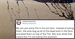 ants trix