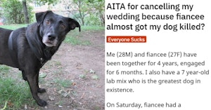 Black lab mix and AITA entry about a man canceling his wedding because his fiance almost got his dog killed