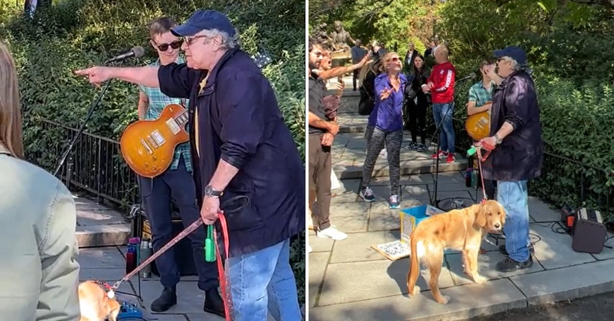 Crowd Stands Up For Central Park Busker Against Angry Man Calling Everyone In Sight Tourists